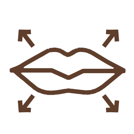 ICON lippenvergrösserung